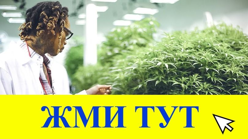 Купить наркотики в Чаплыгине